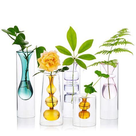 Buy Sziqiqi Colored Glass Bud Vases for Flowers, Set of 5 Double Walled ...