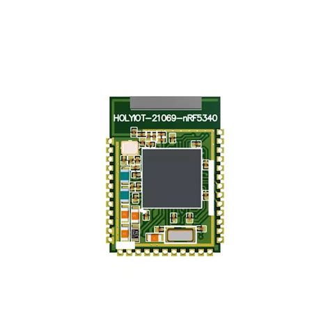 Holyiot 21069, nRF5340 Wearable Devices Smart Howireless moduleme Ultra ...
