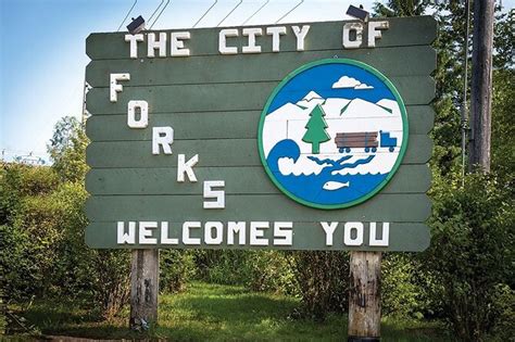 Twilight Forks Washington Tour 2023 - Seattle - Viator