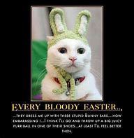 Image result for Sarcastic Easter Cats with Text