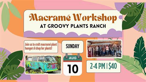 Macrame Plant Hanger Workshop at Groovy Plants Ranch, Groovy Plants ...