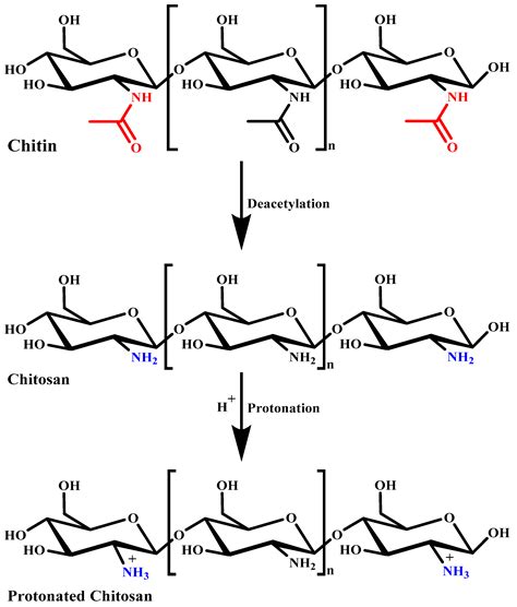 Recent Advancement in Chitosan-Based Nanoparticles for Improved Oral ...