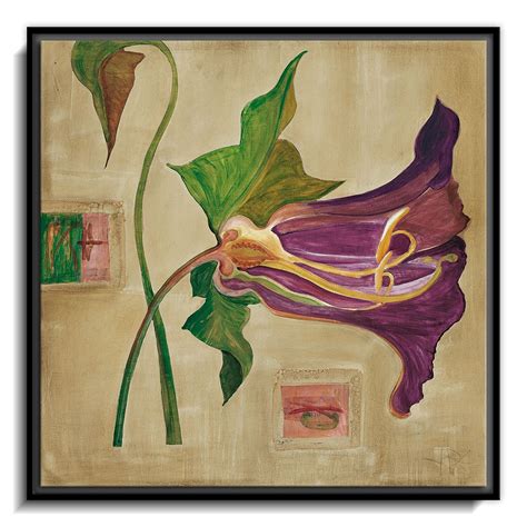 Blutenanatomie: Amaryllis – Calcuttan