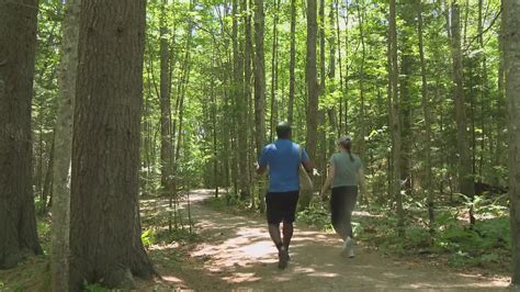 Asian longhorned tick in Maine raises concerns for livestock and ...