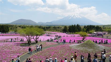 Image result for Example of One Variable Data