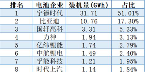 2019中国动力电池装机排行，宁德时代占比51％ 排首位_手机新浪网