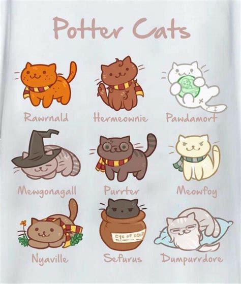 Boy Cat Names Harry Potter at Kristen Mcdonald blog