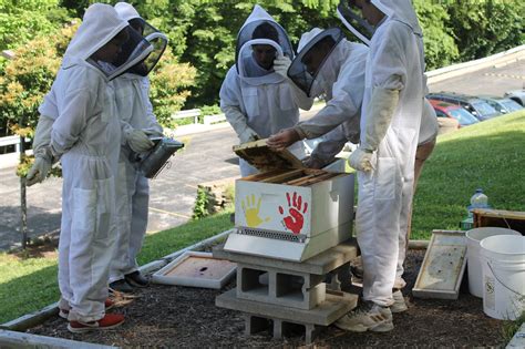 Mercy Montessori Center - Cincinnati