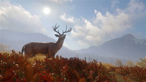 theHunter: Call of the Wild™ on Steam