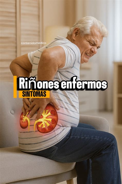 Riñones enfermos: cómo reconocerlos y cuidarlos - INICIO