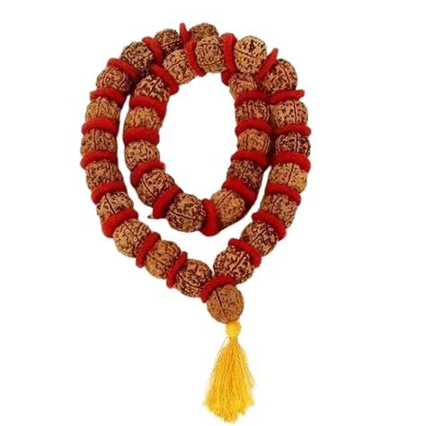 OPTIMUS RUDRAKSHA Five Face Kantha Mala Panchmukhi Rudraksha Original ...