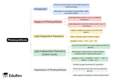 Mind Map: PDF Download