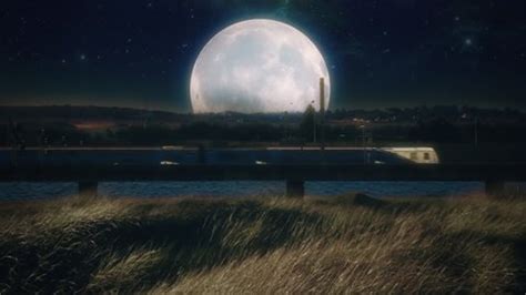 Image result for Looping Train