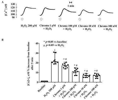 Chromogranin B Protects Human Umbilical Endothelial Cells against ...