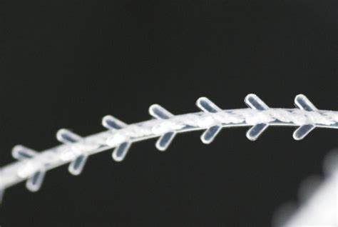 Spring Thread 的图像结果