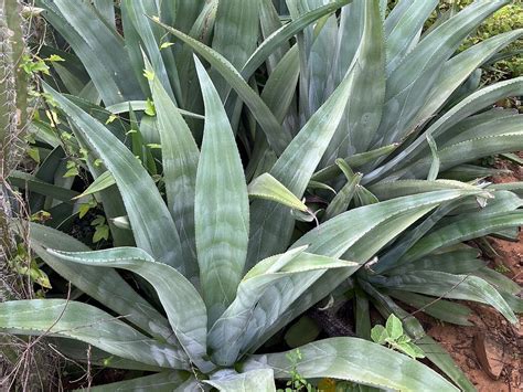 HIKE TOURS BONAIRE (2025) All You Need to Know BEFORE You Go (with ...