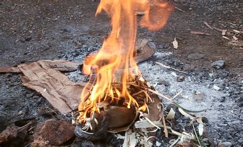 Image result for Making Fire Using Sticks