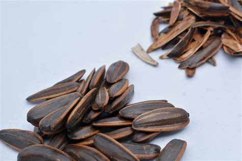 Image result for How Do They Shell Sunflower Seeds