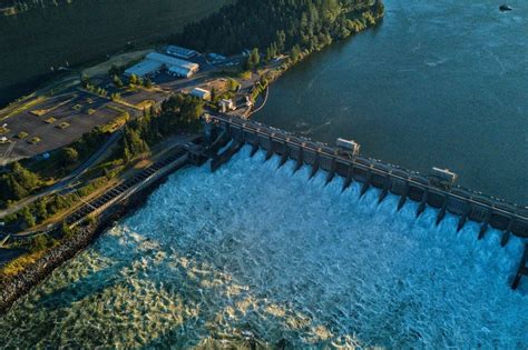 39 Facts about Cali - Facts.net