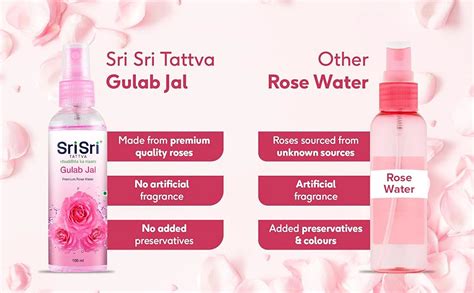 Sri Sri Tattva Gulab Jal Premium Rose Water 100 ml | With Rose Extracts ...