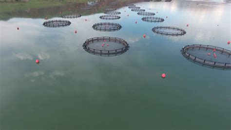 Innovative feed solutions for aquaculture - Skretting