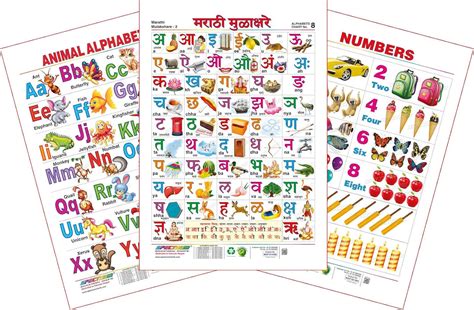 Spectrum Educational Large Wall Charts (Set of 3) : ( Animal Alphabets ...