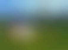 Fecal Matter Resources : Park Spark project