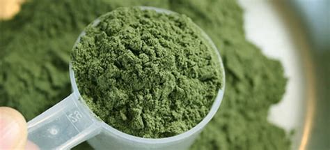 All you Need to Know about Green Supplement | Real Whey