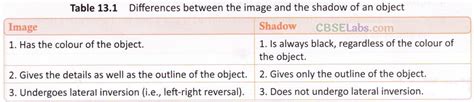 Class 6 Science Light Shadow and Reflection Free Tutorial 的图像结果