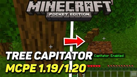 Image result for TreeCapitator 1.18.2