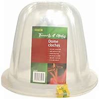 Image result for Large Plastic Cloche Dome