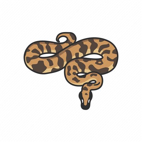 Image result for Animal Python Icon
