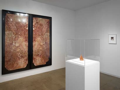 Amie Siegel | Meer