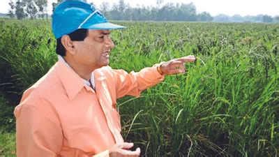 The legend of kalanamak rice | India News - Times of India