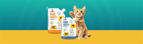 Buy Online Bone Broth For Cats and kittens at Best Prices in India ...