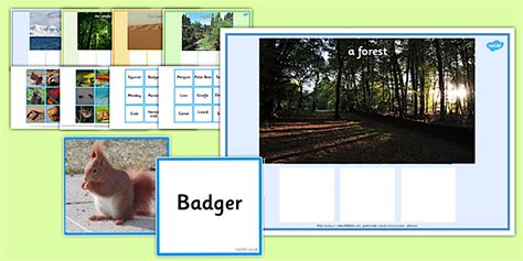 Animals Habitat Matching Word Card Game