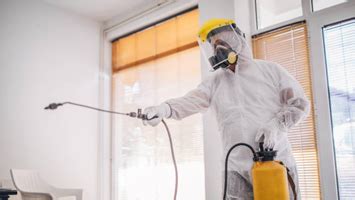 Pest control in odisha, Pradhan Pest Control