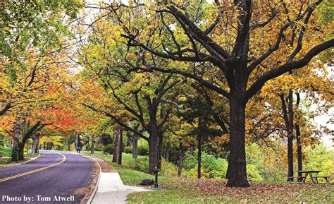 Grandview Drive, Peoria IL