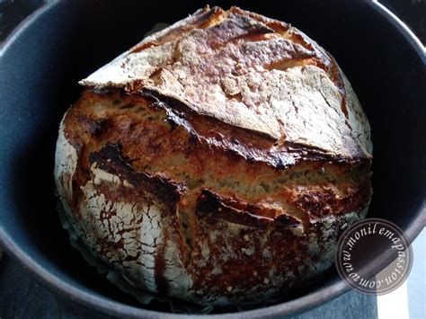 Pain Modulation 的图像结果