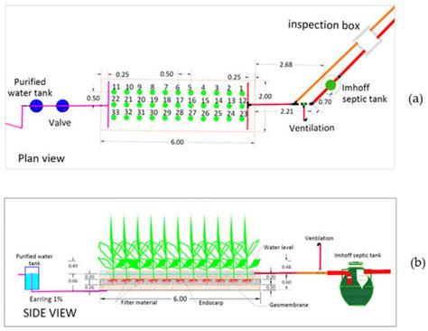 Treatment of Domestic Wastewater in Colombia Using Constructed Wetlands ...