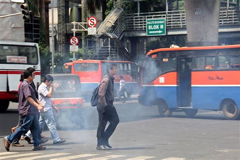 Air Environment 的图像结果