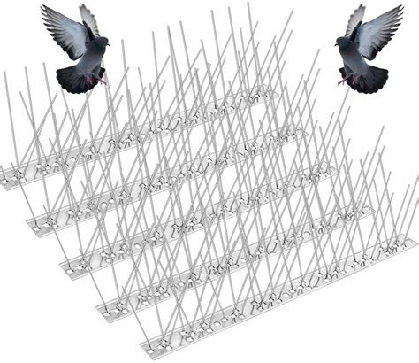 Pigeon Spikes 的图像结果