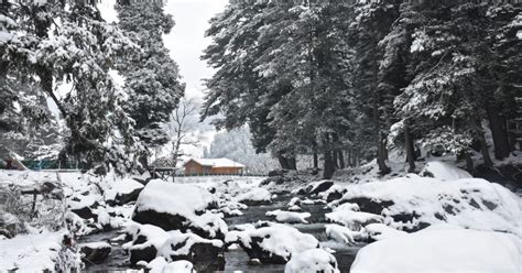 Snowfall In India: जम्मू-कश्मीर में शुरू हुआ स्नोफॉल, भारत के इन 7 ...