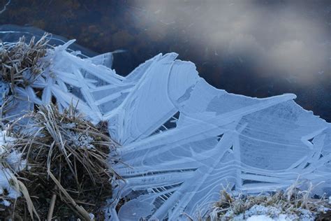 Image result for TriplePoint Explained