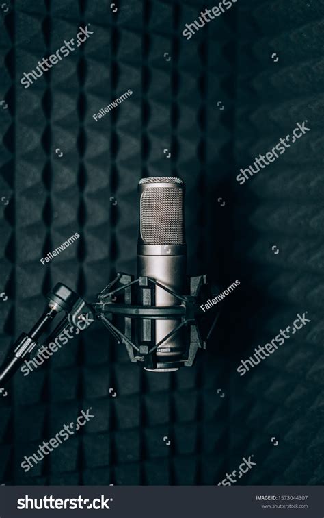 Recording Studio Microphone 的图像结果