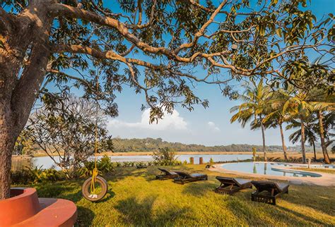 In Goa With Bacha Party? Here’s A List Of Fun Things To Do With Your ...