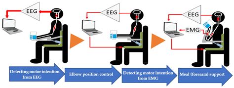 Trial of Brain–Computer Interface for Continuous Motion Using ...