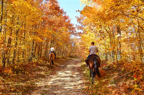 Fall Color Horseback Tours - Double JJ Resort