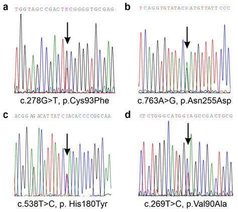 Functional Characterization of a Spectrum of Genetic Variants in a ...