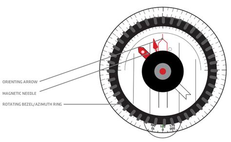 Image result for Basic Compass